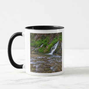 Mug États-Unis, Utah, parc national de Zion. Big Spri