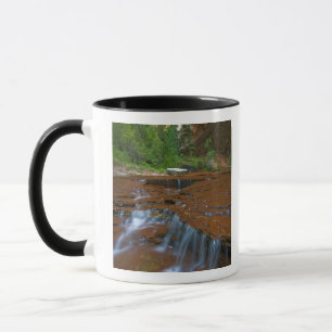 Mug États-Unis, Utah, parc national de Zion. Scénique