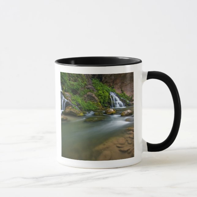 Mug États-Unis, Utah, Zion National Park. La Vierge (Droite)