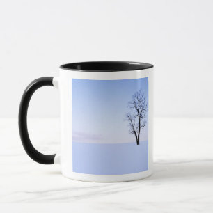 Mug États-Unis, Virginie, comté de Page, Black Locust
