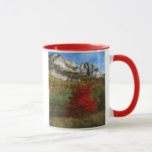 Mug États-Unis, Virginie-Occidentale, Spruce Knob-Sene