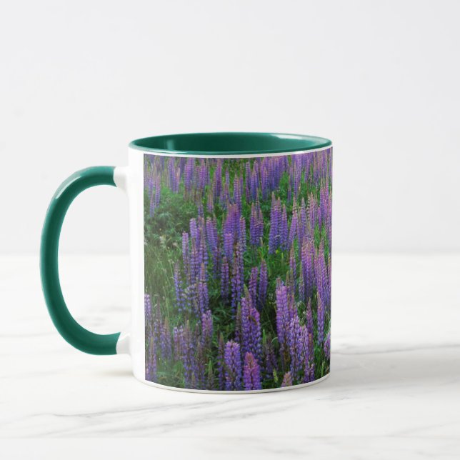 Mug États-Unis, Washington, Comté de Clallam, Lupine (Gauche)