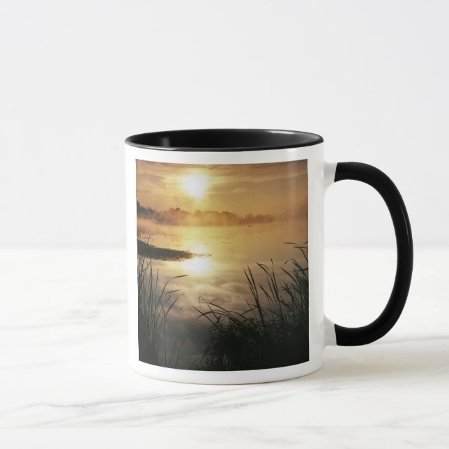 Mug États-Unis, Washington, Lopez Island, Brouillard m (Droite)