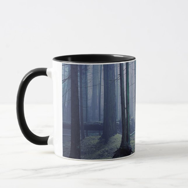 Mug États-Unis, Washington, Orcas Island, Moran State  (Gauche)