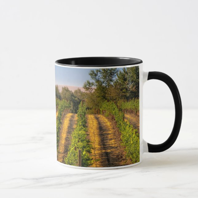 Mug États-Unis, Washington oriental, Vignobles de Wall (Droite)