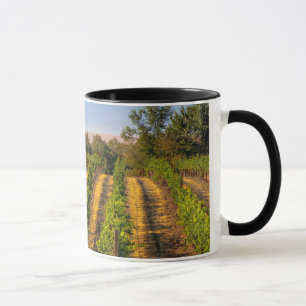 Mug États-Unis, Washington oriental, vignobles Walla W