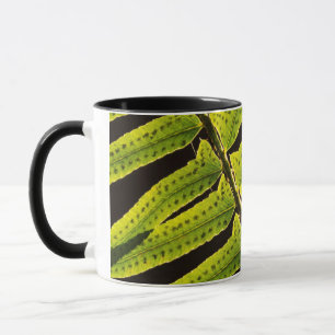Mug États-Unis, Washington, Parc national Olympique, C