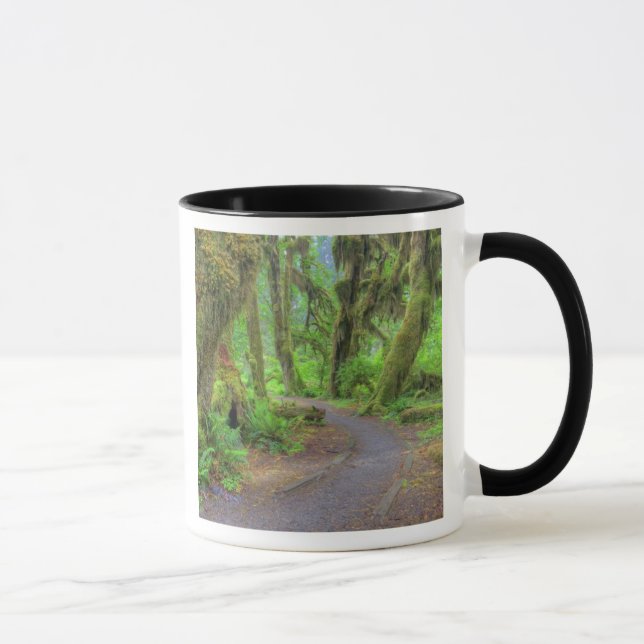 Mug États-Unis, Washington, Parc national Olympique, H (Droite)