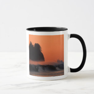 Mug États-Unis, Washington, Parc national Olympique, M
