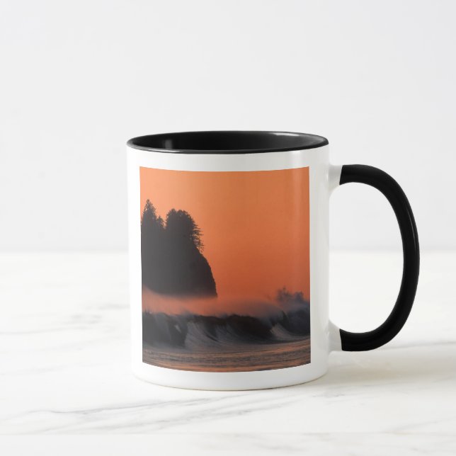 Mug États-Unis, Washington, Parc national Olympique, M (Droite)