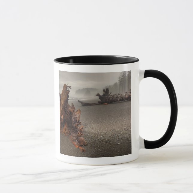 Mug États-Unis, Washington, Parc national Olympique, R (Droite)