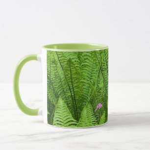 Mug États-Unis, Washington, Seattle, Washington Park