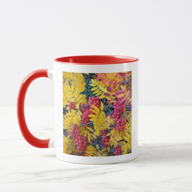 Mug États-Unis, Washington, Sorbier occidental de mont (Gauche)