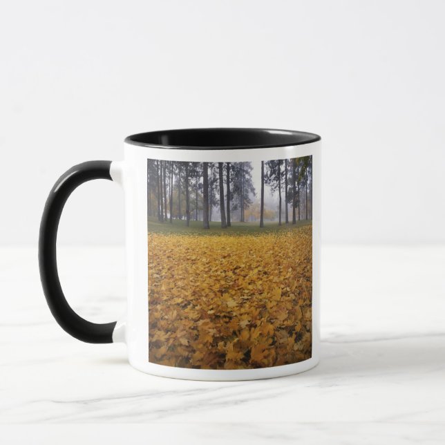 Mug États-Unis, Washington, Spokane, Manito Park, Auto (Gauche)