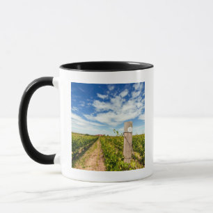 Mug États-Unis, Washington, Walla Walla. Cabernet Sauv