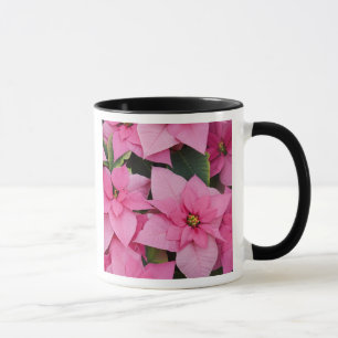 Mug États-Unis, Washington, Woodinville, Molbak's Nurs
