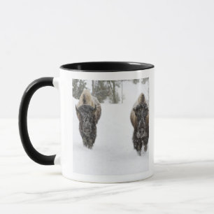 Mug États-Unis, WY, parc national de Yellowstone, Biso