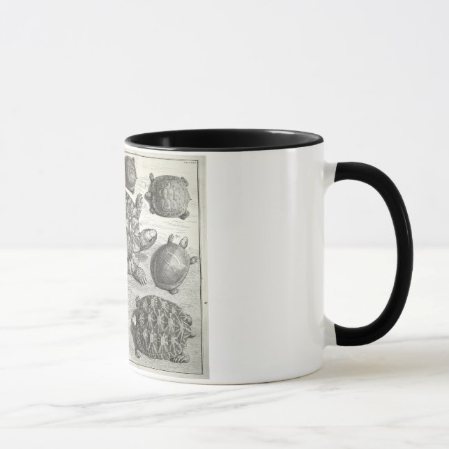 Mug Etching de tortue vintage (Droite)