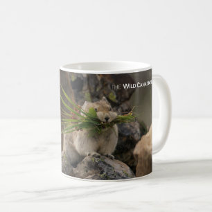 Mug Été - American Pica