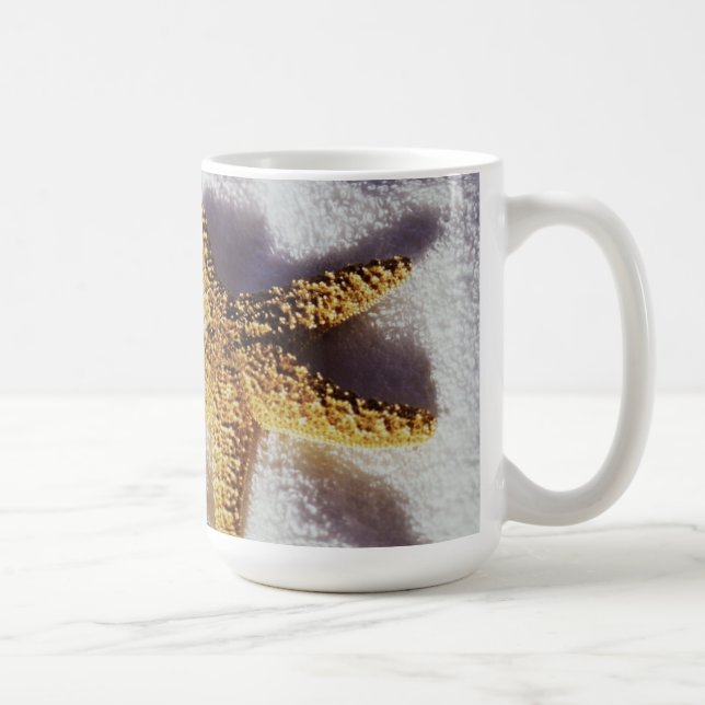 Mug Étoiles de mer sur une serviette (Droite)