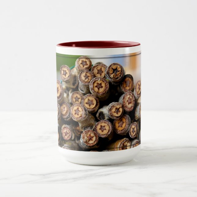 Mug Etoiles le long du Rio Grande Cotton Wood Trees (Centre)