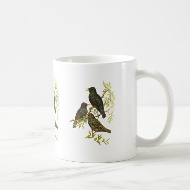 Mug Étourneau européen (Droite)