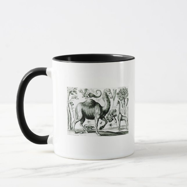 Mug Étude des animaux et des fleurs, gravée (Gauche)