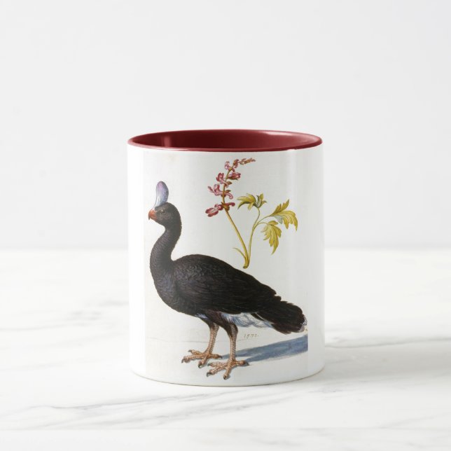 Mug Étude d'une Curassow Helmeted, Arcimboldo (Centre)