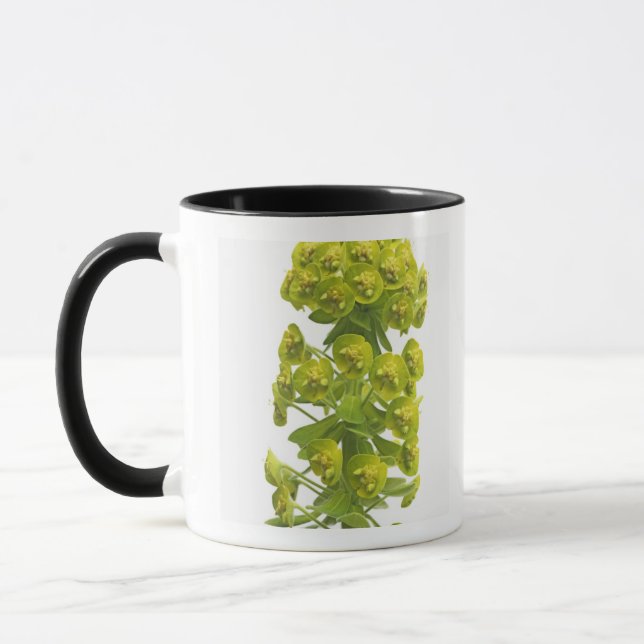 Mug Euphorbe (Gauche)