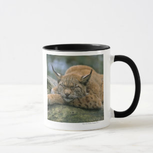 Mug Europ�_ischer Luchs, Eurasischer Luchs (Lynx