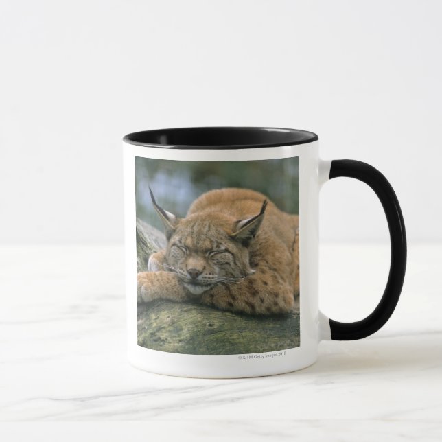 Mug Europ�_ischer Luchs, Eurasischer Luchs (Lynx (Droite)