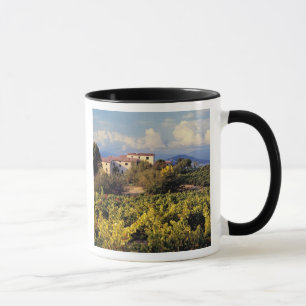 Mug Europe, France, Bonnieux. Les vignobles couvrent l