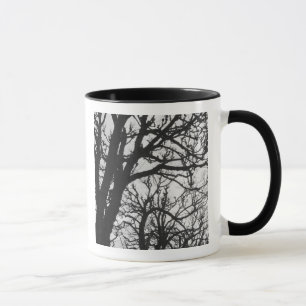 Mug Europe, France, Paris. Les arbres d'hiver, Marco