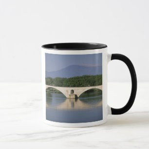Mug Europe, France, Provence, Avignon. Pont Saint,