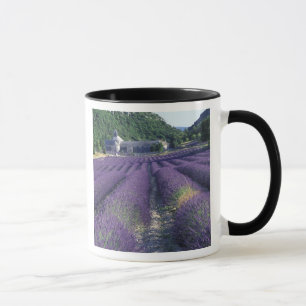 Mug Europe, France, Provence. Champs de lavande