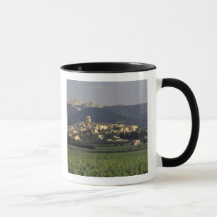 Mug Europe, France, Provence, Vaucluse, SSablet,