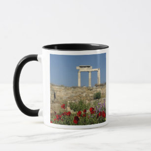 Mug Europe, Grèce, Cyclades, Delos. Ruines de colonne