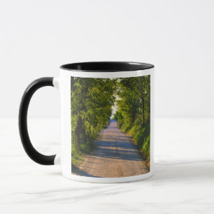 Mug Europe, Italie, Toscane, route bordée d'arbres