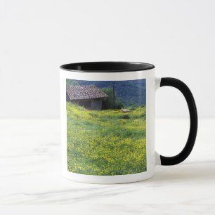 Mug Europe, Italie, Toscane, Sienne, Chianti.