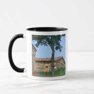 Mug Europe, Italie, Toscane, villa abandonnée dans