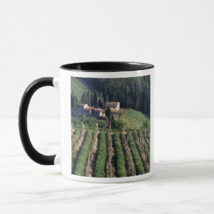 Mug Europe, Italie, Toscane. Villa panoramique chypre.
