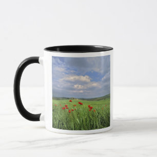 Mug Europe, Toscane, Poggiolo. Les coquelicots rouges