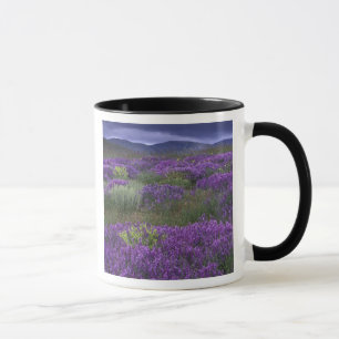 Mug Europe, Turquie, Cappadoce. Paysage rural 2