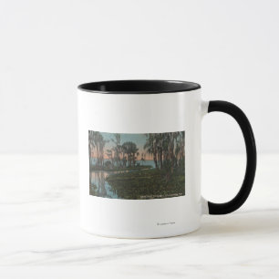 Mug Eustis, la Floride - vue de canal marécageux