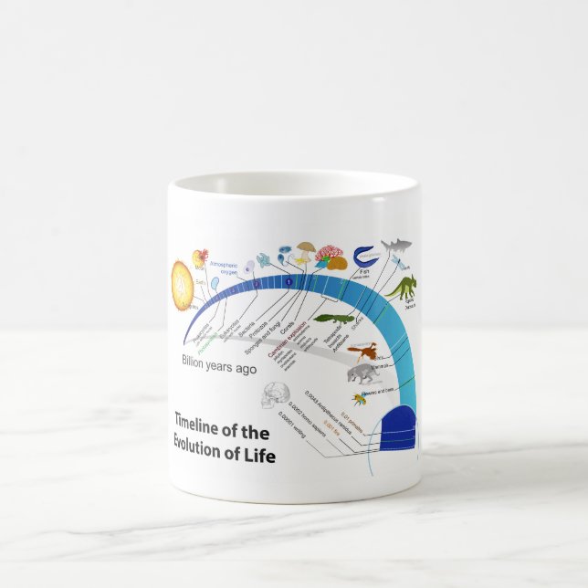 Mug Évolution de la vie sur le diagramme de (Centre)