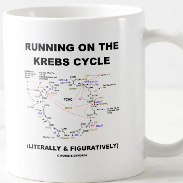 Mug Exécution Sur Le Cycle Krebs (Humour Scientifique) (Biochemistry attitude mug for anyone who runs on the Krebs cycle (literally & figuratively)!)