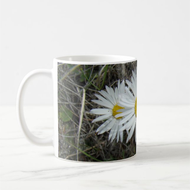 Mug F42 Fleurs sauvages blanches Aster lisse (Gauche)