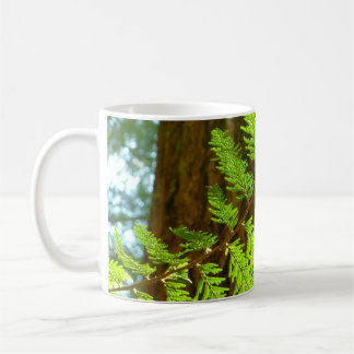 Mug Faits saillants d'un Arboretum d'un Séquoia