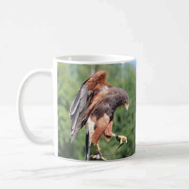 Mug Falcone, Jesse Harris Hawk (Gauche)