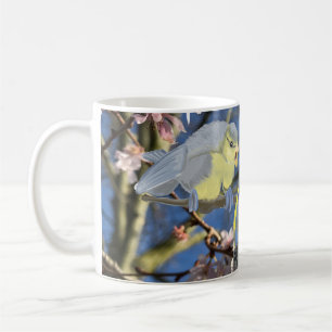 Mug Famille de Bleu Bleu britannique contre Fleur Rose